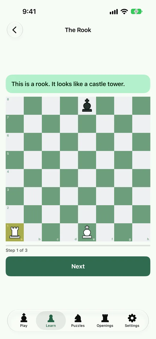 A lesson introducing the rook